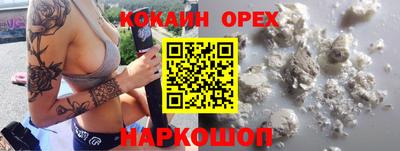 мет Кингисепп