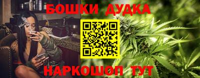 гидра Кимры