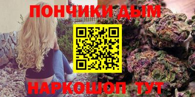 гидра Кимры