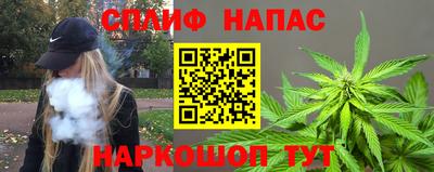 мет Кингисепп
