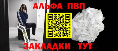 мет Кингисепп