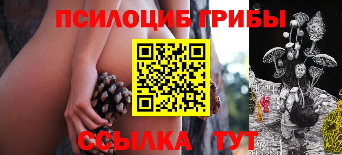 Галлюциногенные грибы Psilocybe  Псилоцибиновые грибы Cubensis  Южноуральск  Вход с VPN 